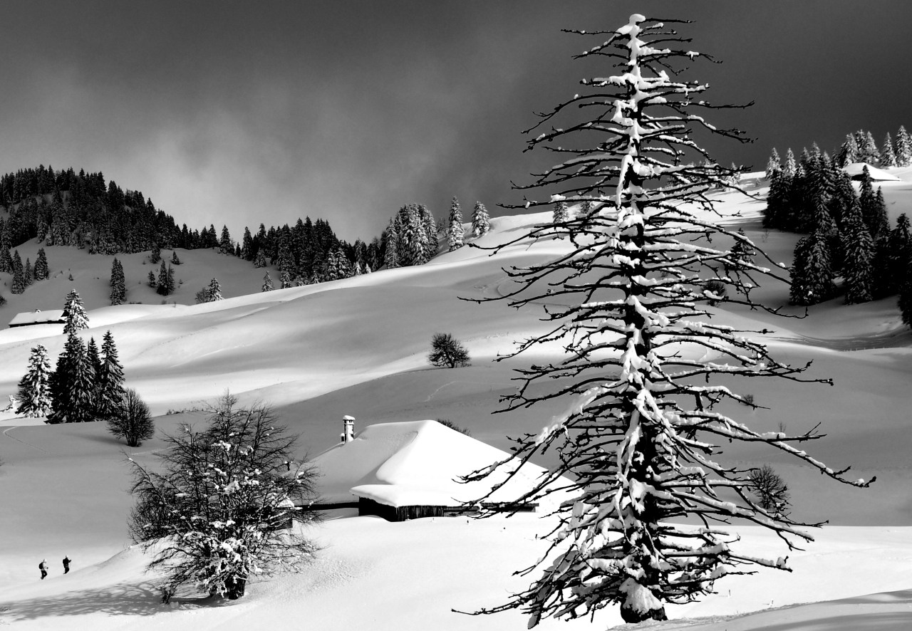 Snowscape in the Jura&nbsp;mountains