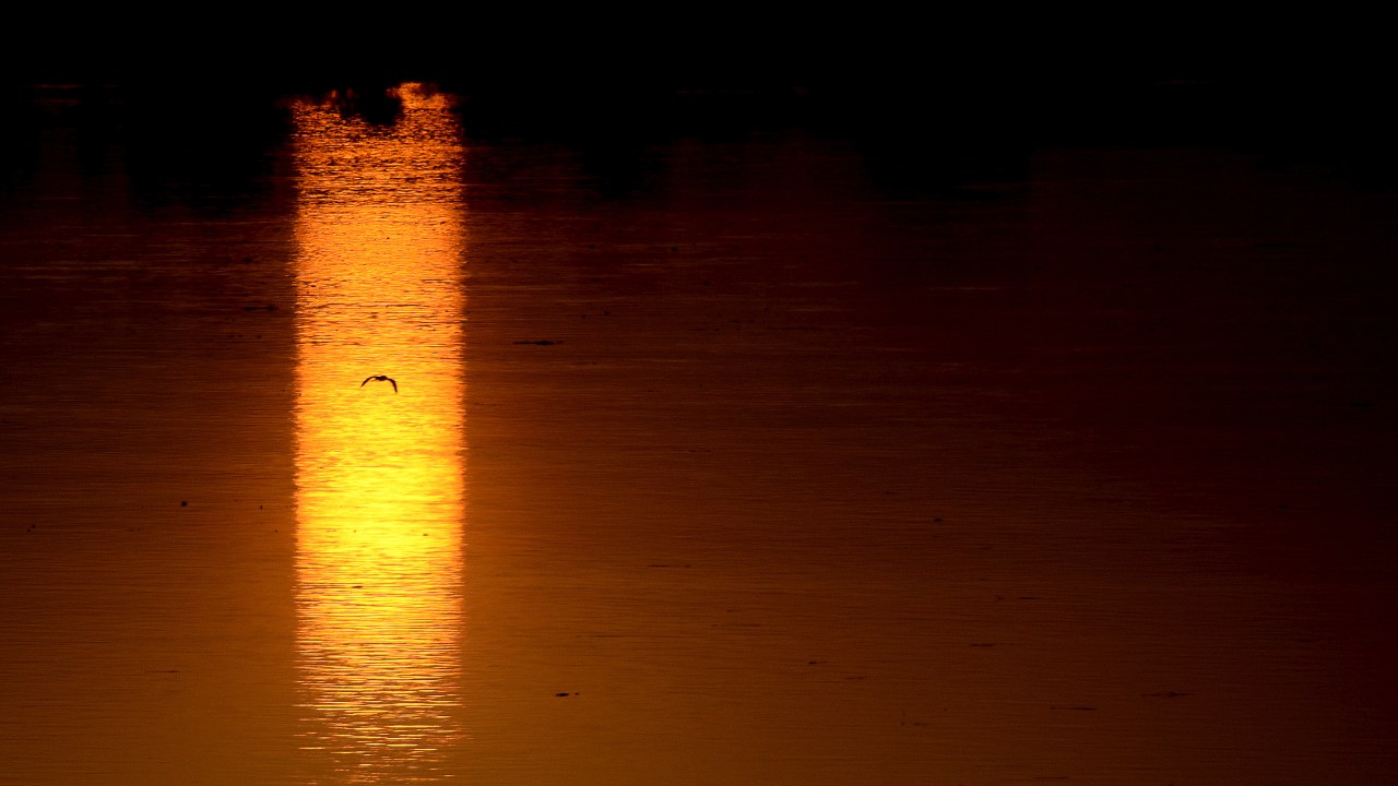 Chari river, Chad-Cameroon