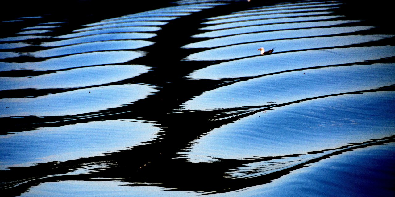 On the river&nbsp;Rhone