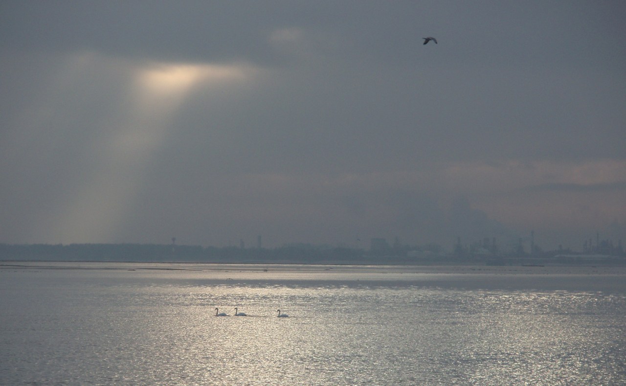 The Elbe in&nbsp;Stade