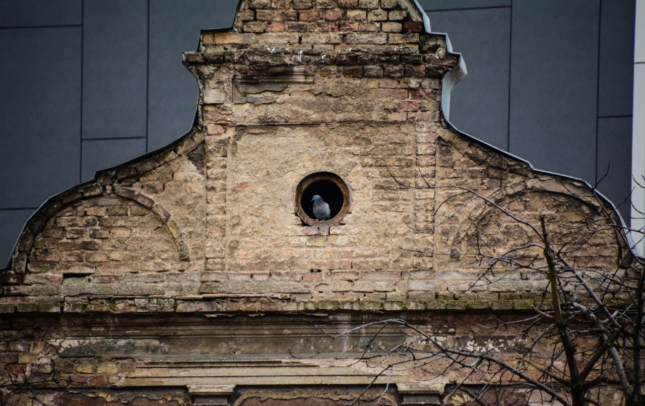 Sarajevo impressions