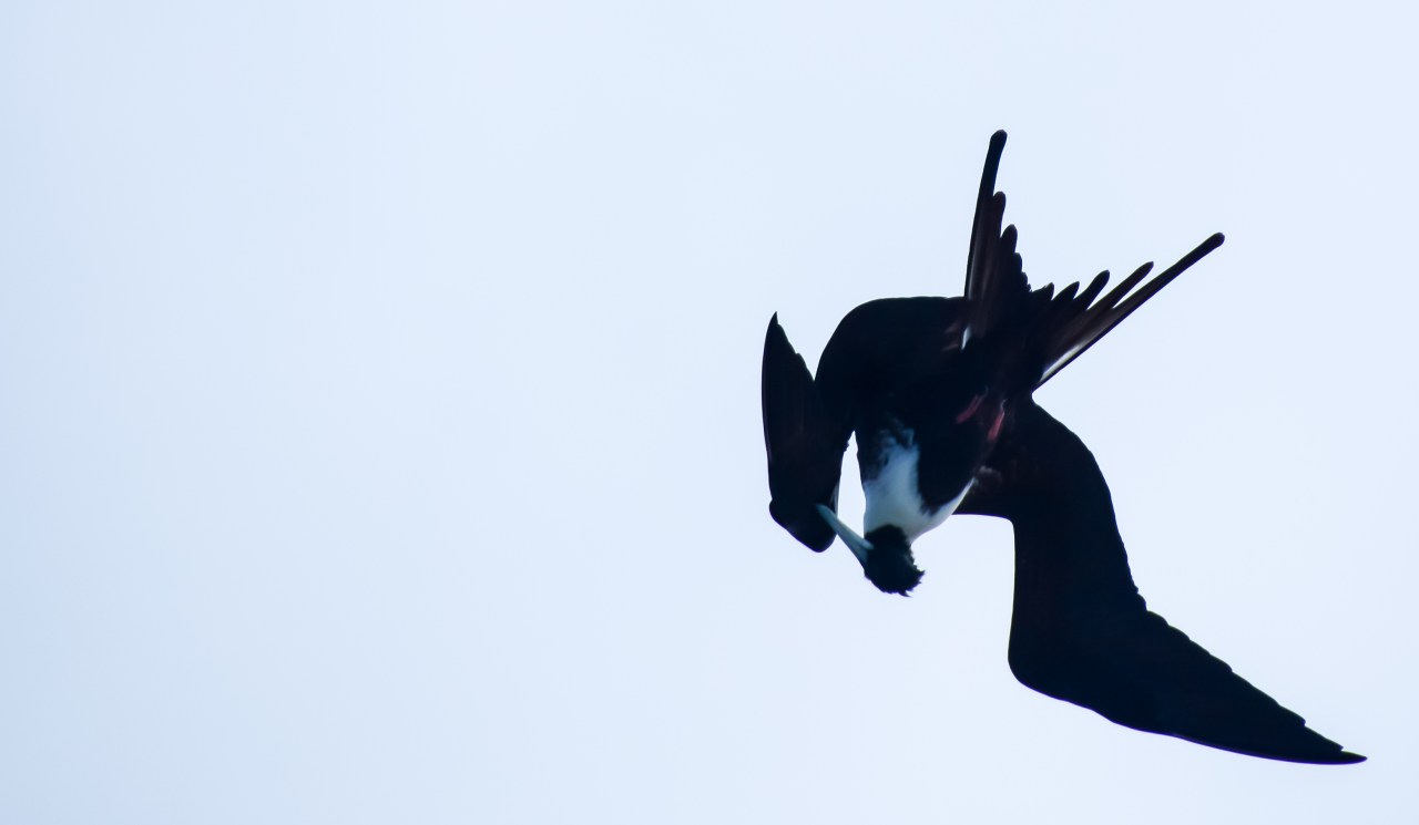 Cancun, Isla Mujeres