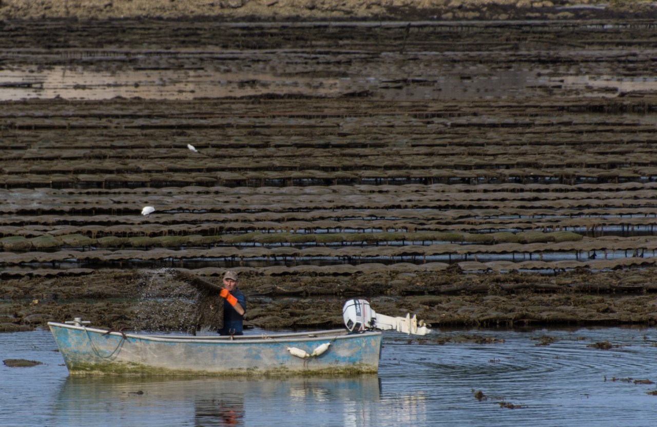 La Bretagne life and&nbsp;logistics