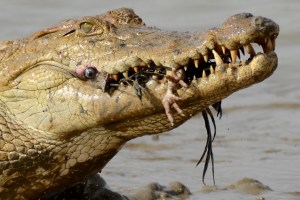 Last view of the Earth Burkina Faso