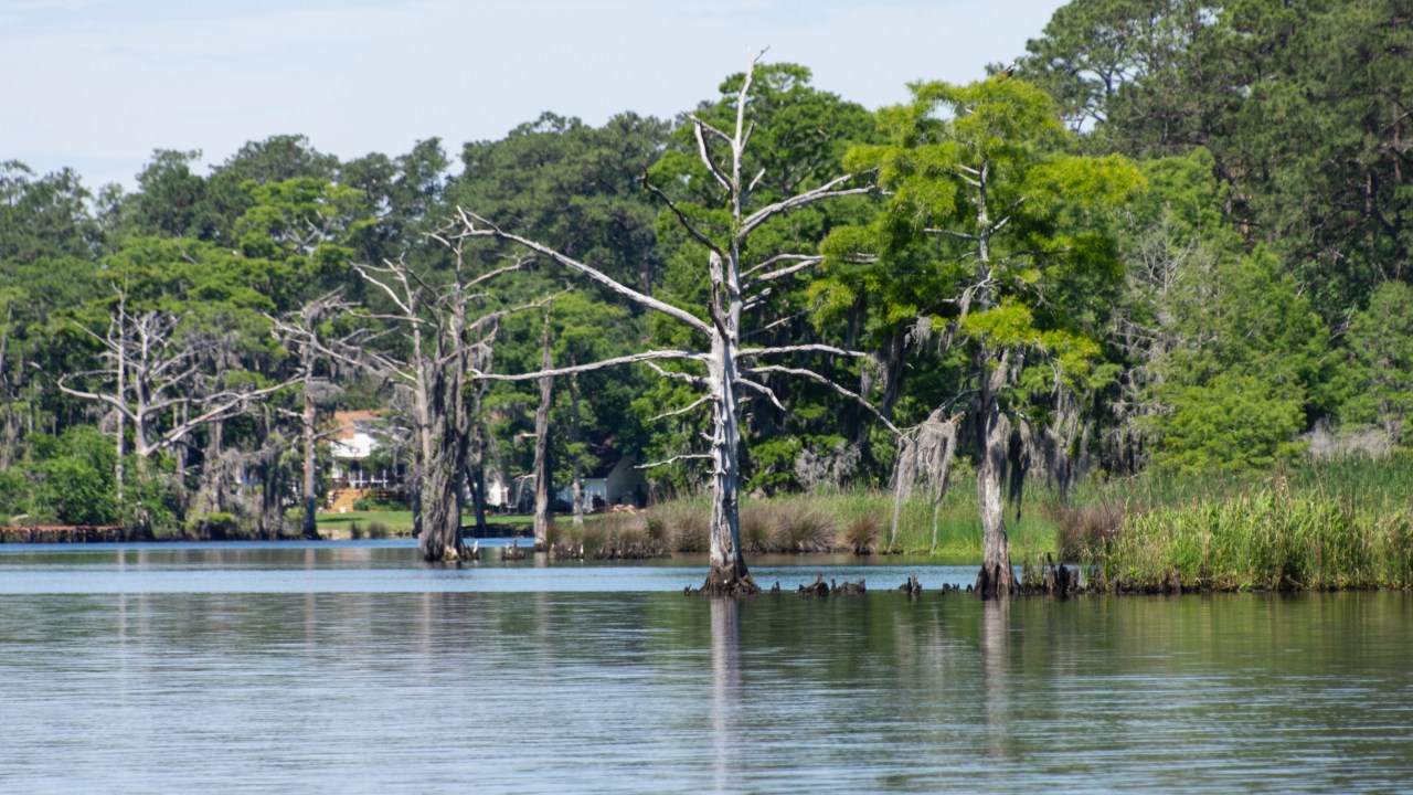 The port of New&nbsp;Bern